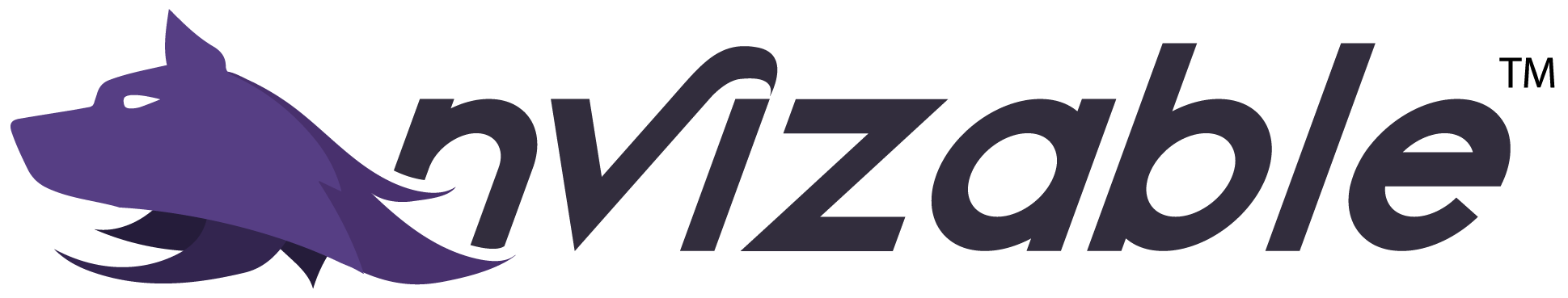 nVizable logo